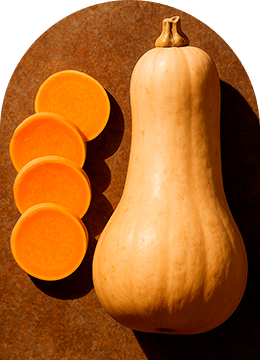courge butternut Force Sud