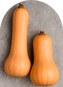 courge butternut Force Sud
