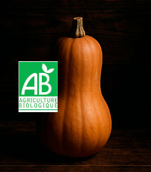 courge butternut BIO