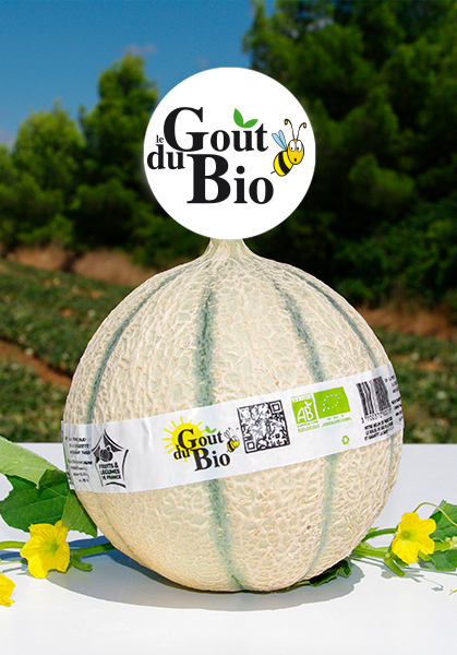 Force Sud - 2010 - Melonn Goût du Bio