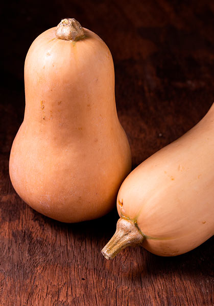 Force Sud - 2024 - Butternut
