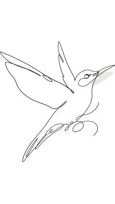 Shape Image