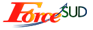 Site Force SUD