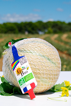Filet melon Goût du Bio