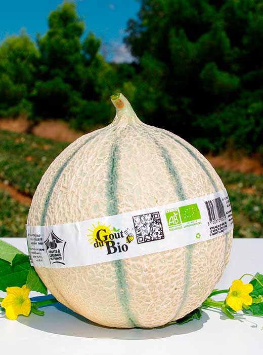 Ruban melon Goût du Bio