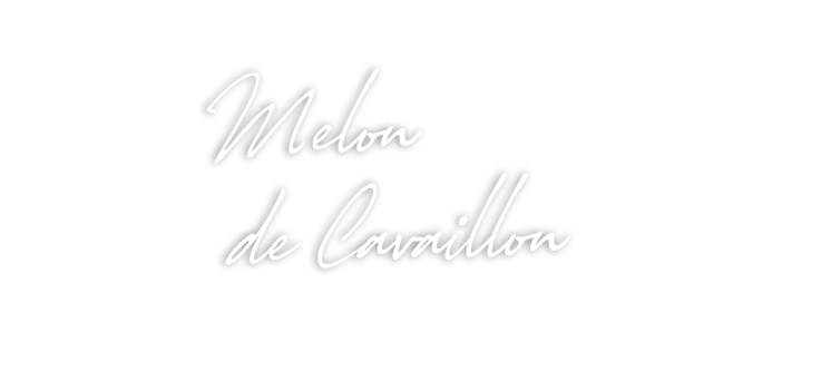 Melon de Cavaillon Force SUD