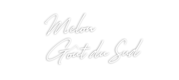 Melon Goût du Sud Force SUD