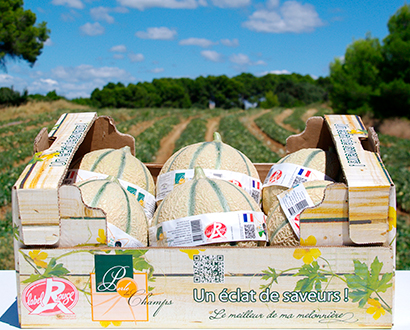 colis melon perle des champs