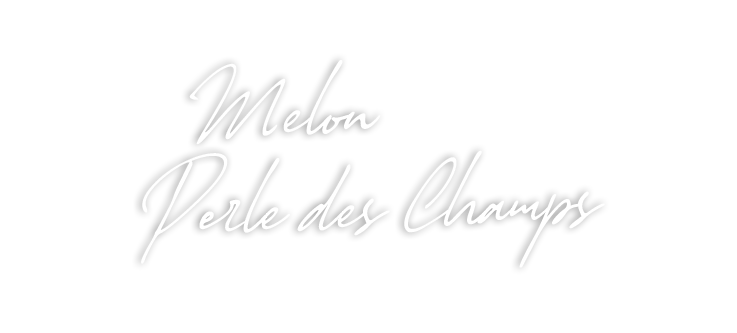 Melon Perle des Champs Force SUD