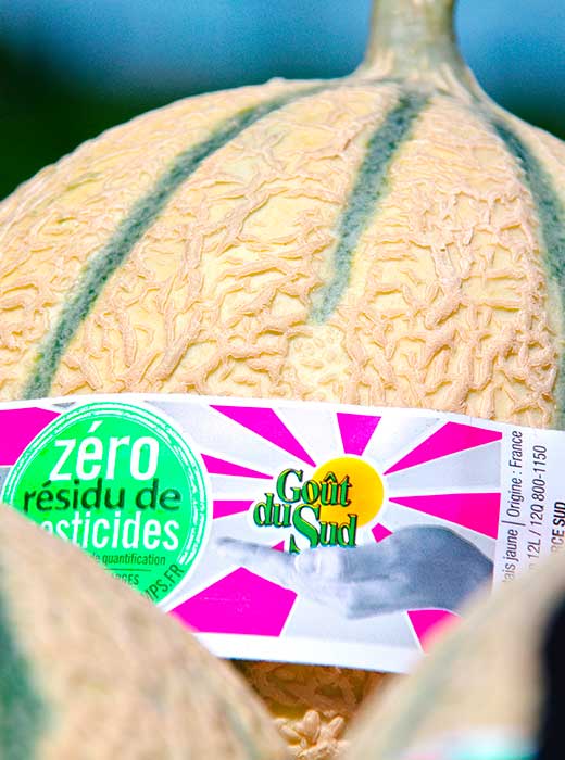 colis melon ZRP