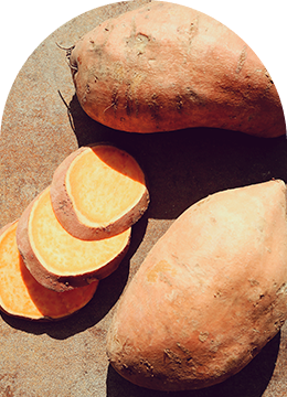 Patate douce Force Sud