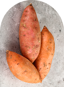 Patate douce Force Sud