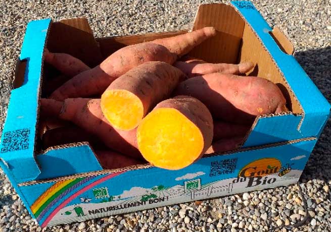Colis patate douce Force Sud