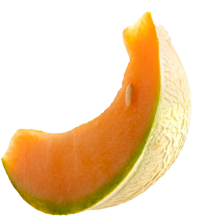 shape