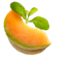 shape