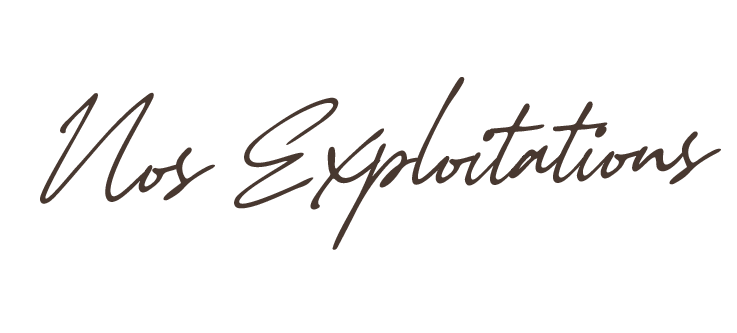 Nos exploitations Force sud