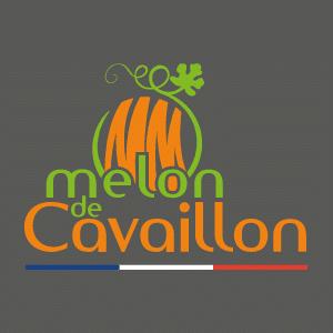 Le Melon de Cavaillon