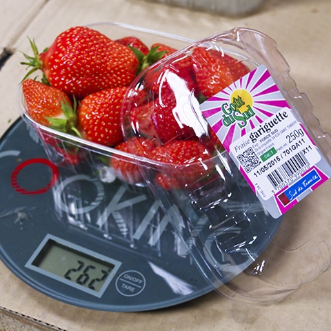 barquette fraise 250g