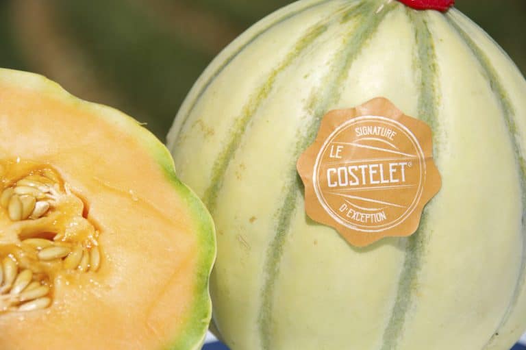 Melon Costelet